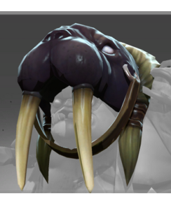 Head of the Odobenus One