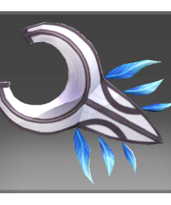 Umbra Rider Shield
