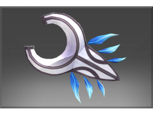 Umbra Rider Shield