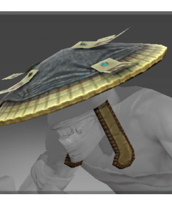 Mysterious Vagabond's Hat
