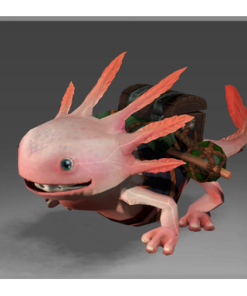 Axolotl